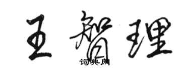 駱恆光王智理行書個性簽名怎么寫