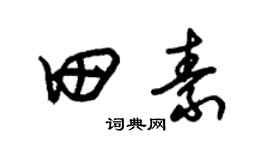 朱錫榮田素草書個性簽名怎么寫