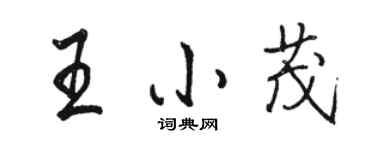 駱恆光王小茂行書個性簽名怎么寫