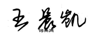 朱錫榮王晨凱草書個性簽名怎么寫