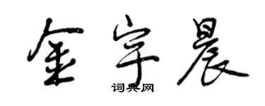 曾慶福金宇晨行書個性簽名怎么寫