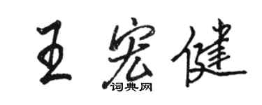 駱恆光王宏健行書個性簽名怎么寫