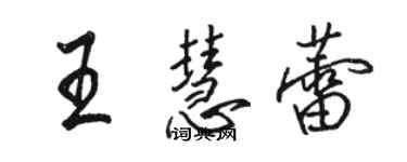 駱恆光王慧蕾行書個性簽名怎么寫