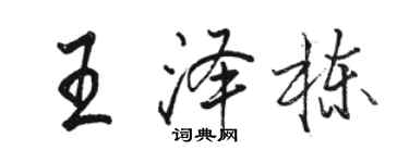 駱恆光王澤棟行書個性簽名怎么寫