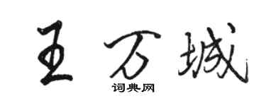駱恆光王萬城行書個性簽名怎么寫