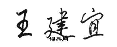 駱恆光王建宜行書個性簽名怎么寫