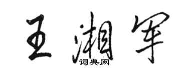 駱恆光王湘軍行書個性簽名怎么寫
