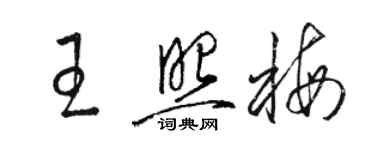 駱恆光王照梅草書個性簽名怎么寫