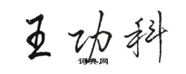 駱恆光王功科行書個性簽名怎么寫