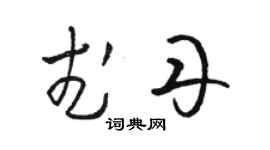 駱恆光武丹草書個性簽名怎么寫