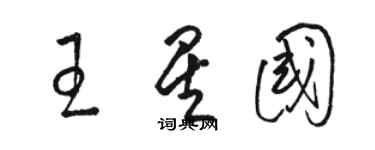 駱恆光王星國草書個性簽名怎么寫