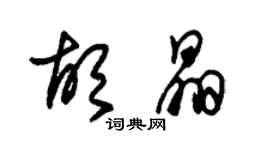 朱錫榮胡晶草書個性簽名怎么寫