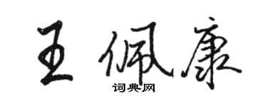 駱恆光王佩康行書個性簽名怎么寫