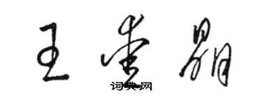 駱恆光王愛晶草書個性簽名怎么寫