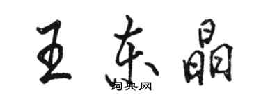 駱恆光王東晶行書個性簽名怎么寫