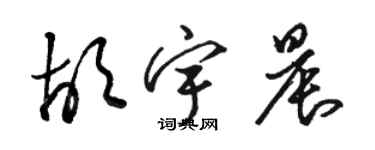 駱恆光胡宇晨草書個性簽名怎么寫