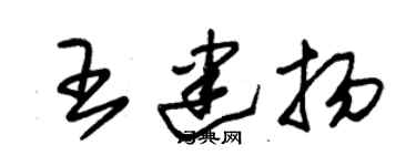 朱錫榮王建揚草書個性簽名怎么寫