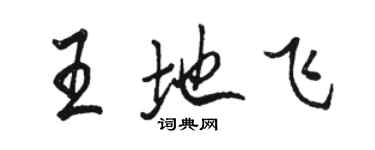 駱恆光王地飛行書個性簽名怎么寫