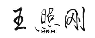 駱恆光王照剛行書個性簽名怎么寫