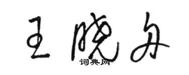 駱恆光王曉舟草書個性簽名怎么寫