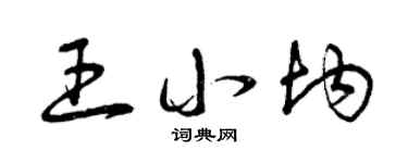 曾慶福王小均草書個性簽名怎么寫