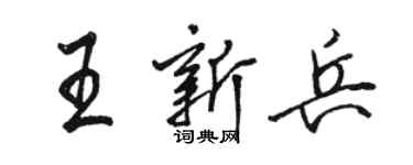 駱恆光王新兵行書個性簽名怎么寫