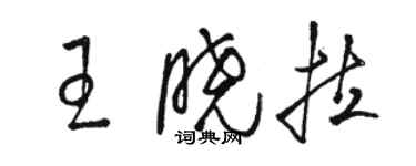 駱恆光王曉拉草書個性簽名怎么寫