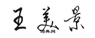 駱恆光王美景行書個性簽名怎么寫