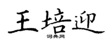 丁謙王培迎楷書個性簽名怎么寫