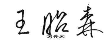 駱恆光王昭森草書個性簽名怎么寫