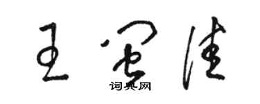 駱恆光王閩佳草書個性簽名怎么寫