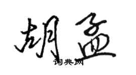 駱恆光胡孟行書個性簽名怎么寫