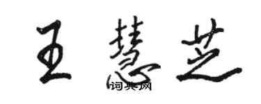 駱恆光王慧芝行書個性簽名怎么寫