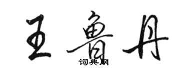 駱恆光王魯丹行書個性簽名怎么寫