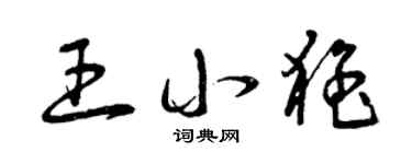 曾慶福王小猛草書個性簽名怎么寫