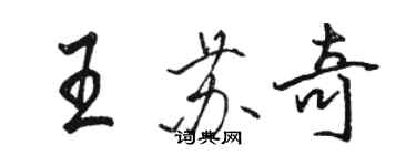 駱恆光王蘇奇行書個性簽名怎么寫