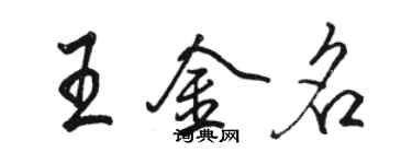 駱恆光王金名行書個性簽名怎么寫