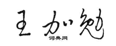 駱恆光王加勉草書個性簽名怎么寫