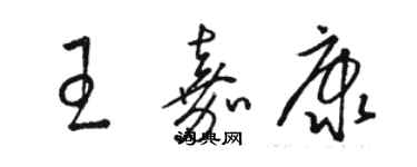 駱恆光王嘉康草書個性簽名怎么寫