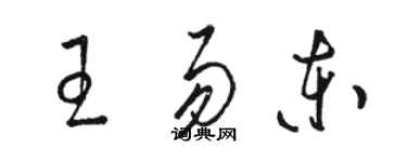 駱恆光王易東草書個性簽名怎么寫