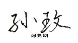 駱恆光孫玫行書個性簽名怎么寫