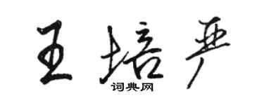 駱恆光王培嚴行書個性簽名怎么寫