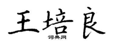 丁謙王培良楷書個性簽名怎么寫