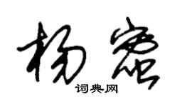 朱錫榮楊蜜草書個性簽名怎么寫