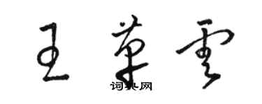 駱恆光王革雲草書個性簽名怎么寫