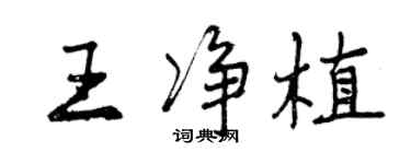 曾慶福王淨植行書個性簽名怎么寫