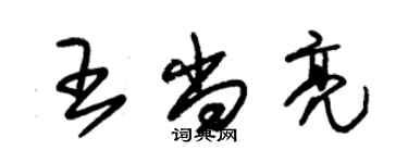 朱錫榮王尚亮草書個性簽名怎么寫