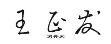 駱恆光王正發草書個性簽名怎么寫