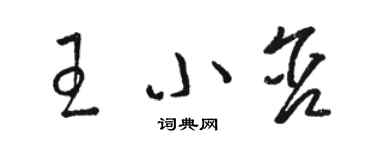 駱恆光王小含草書個性簽名怎么寫