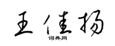 梁錦英王佳揚草書個性簽名怎么寫
